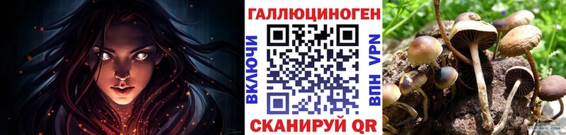 Купить закладки  Добрянка  Псилоцибиновые грибы Cubensis 
